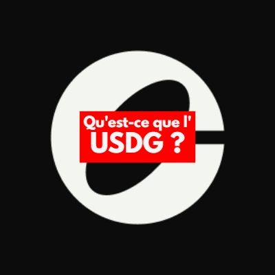 Qu'est-ce que l'USDG ?