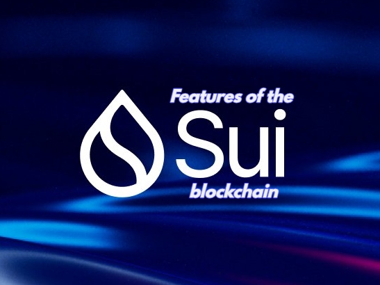 Features of the SUI blockchain